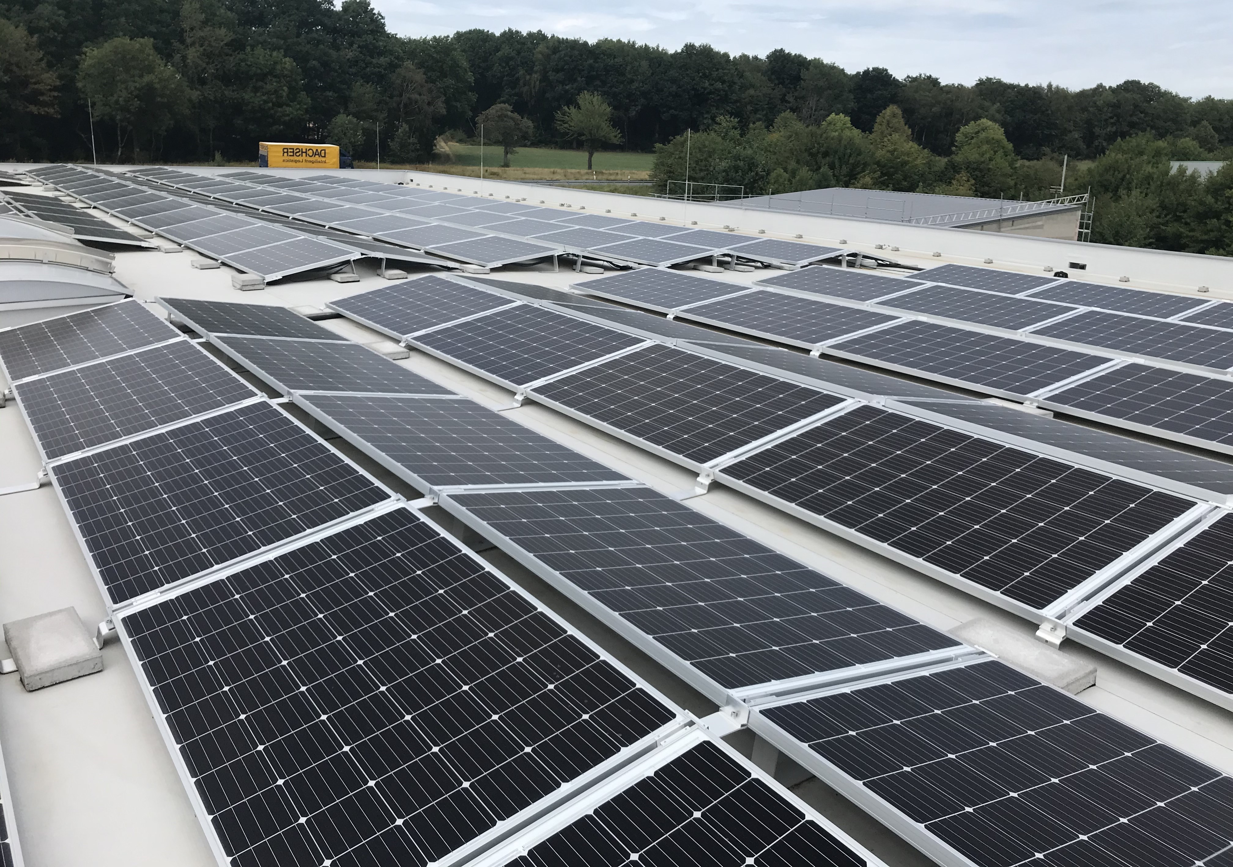 Thomas Darda - Hintergrundbild